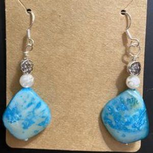 Blue & White Earrings
